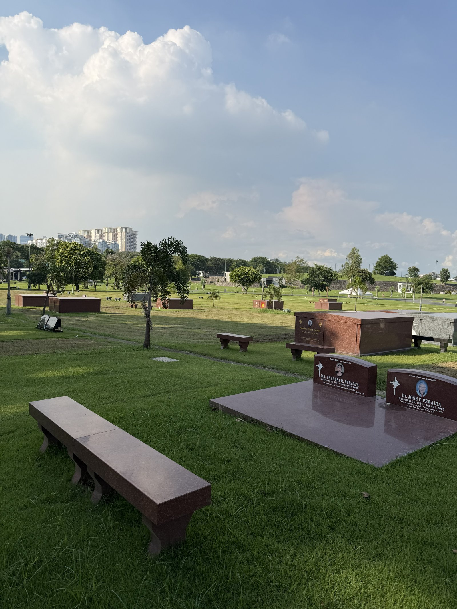 Family Lawn